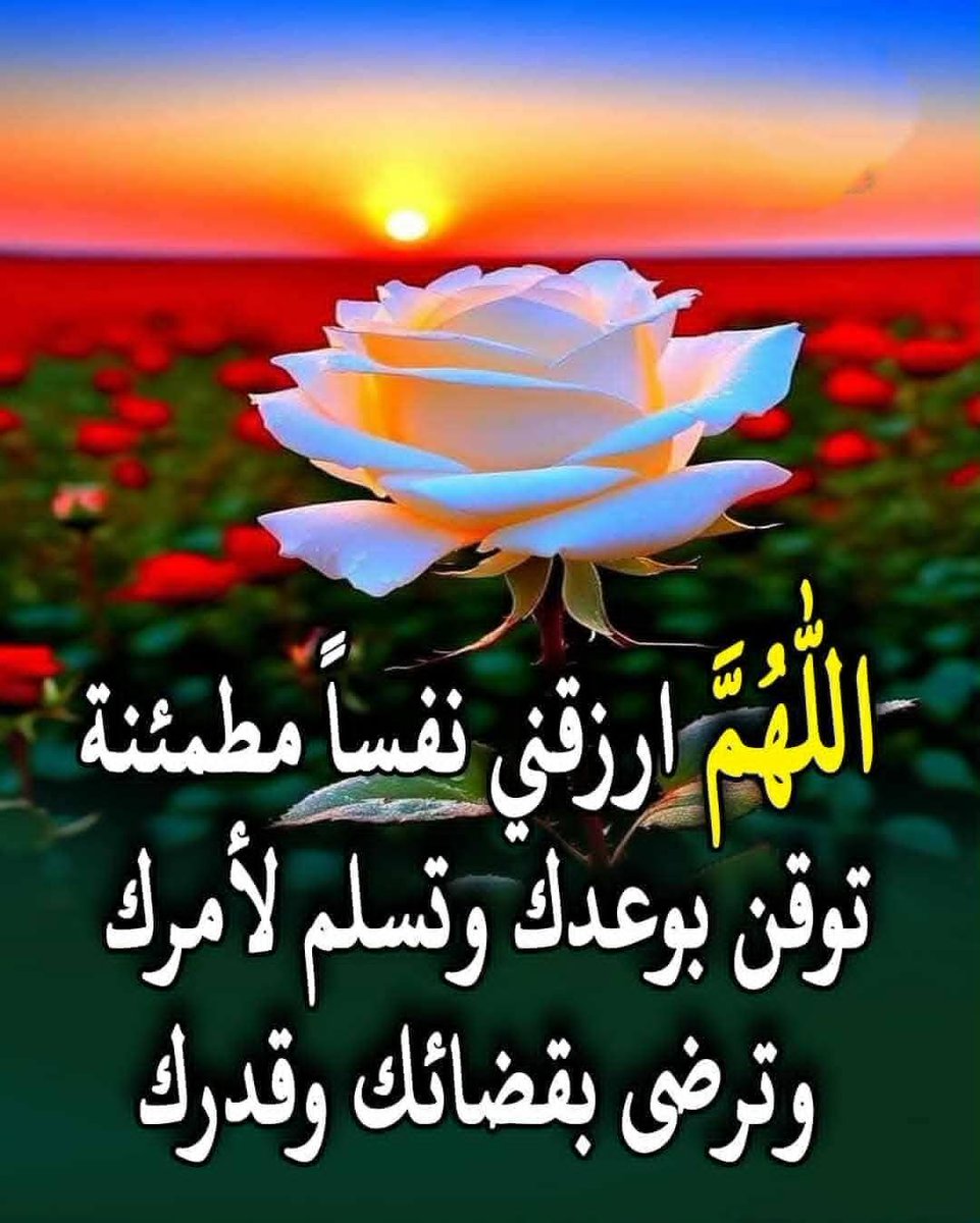 🎉💝🇪🇬 نِدٍيَ عٌمًر 🇪🇬💝🎉 tweet media