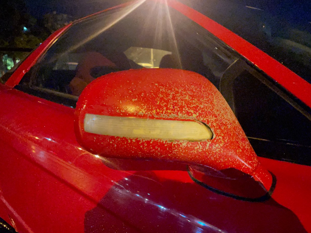 普通のユーチューブの人なら喜んでNSXの動画投稿すると思うんですけどね。これ見て察して下さい。
写真で見るより遥かに実物の風格、空気感やばかったです。

※本物すぎてSNSに投稿できることが画像のみです