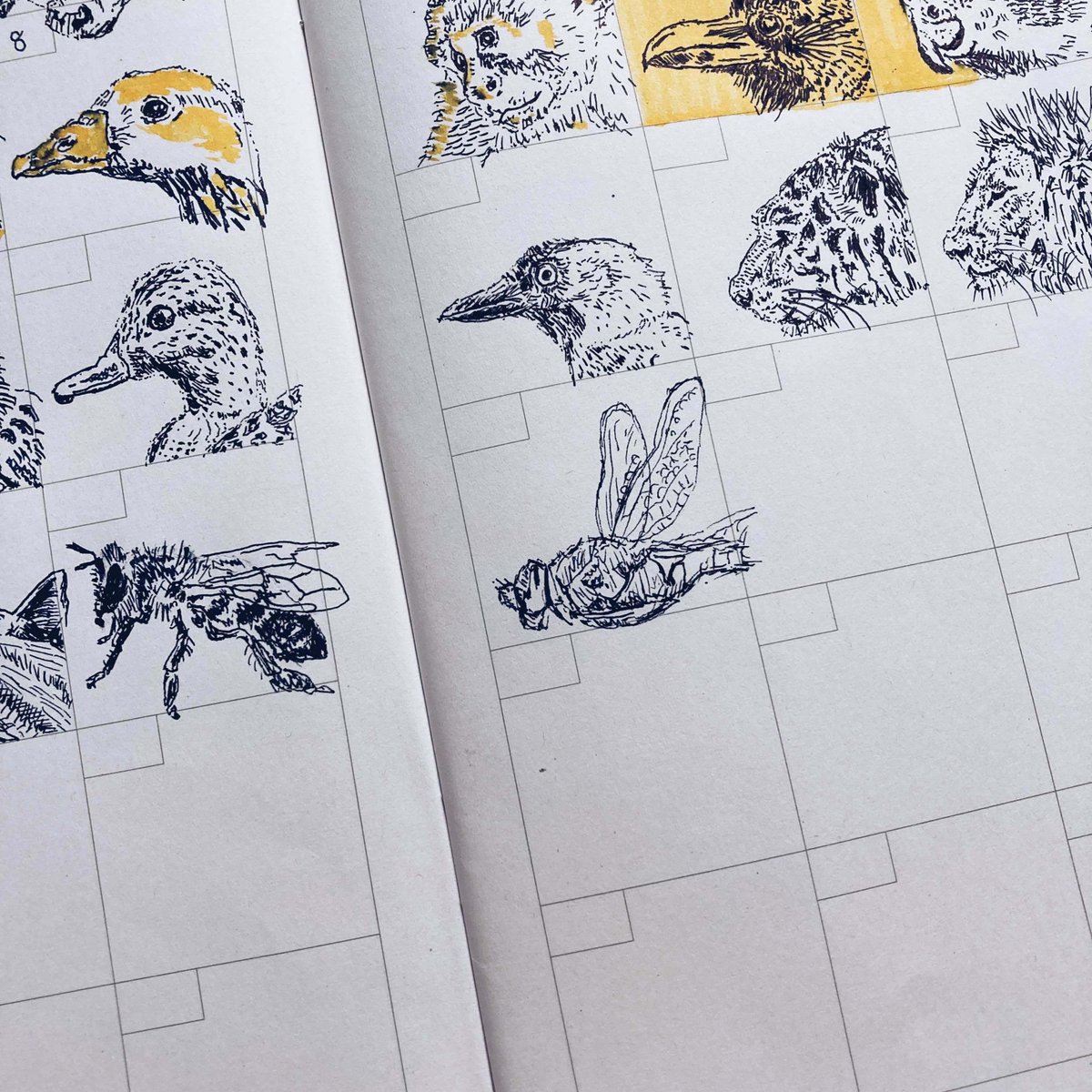 ヤンマ（トンボ）は、空中で獲物を捕まえる成功率が95%超え！

ライオンの25%、ホオジロザメの50%を大きく上回り、動物界でもっとも効率的な捕食者です。

秘密は「追いかけない」こと。