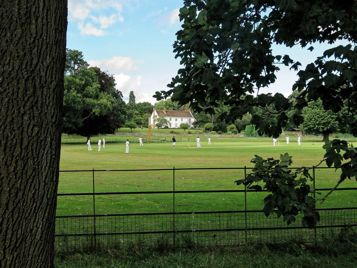 WG RumblePants tweet media