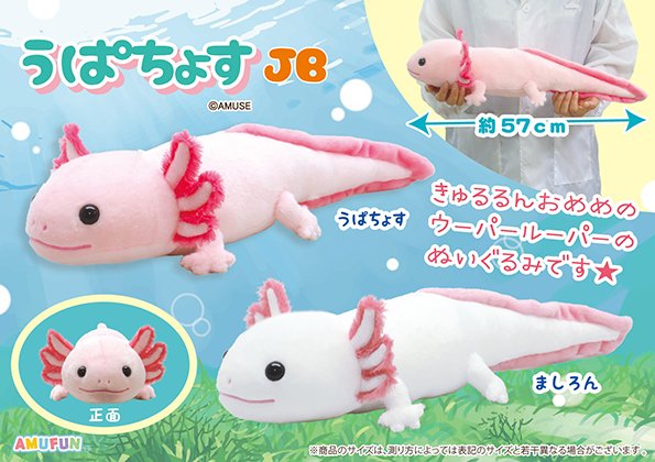 アミューズ AMUFUN【公式】 (@AMUSE_japan) / Posts / X