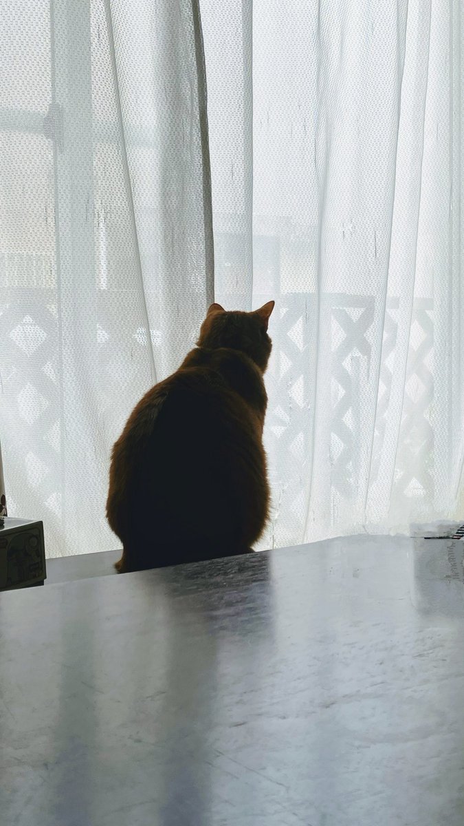 まるい