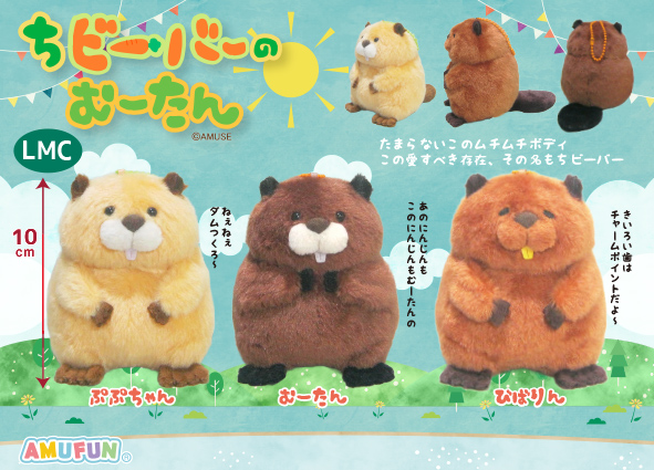 予告！ ／ 今、