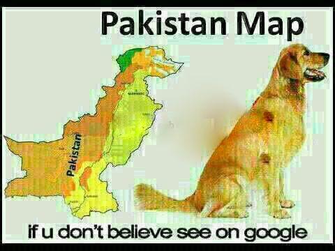 ahmadbuffallo's tweet photo. @AdvSahibaRana How could a #dog adopt a dog?  🫤 🤔 

#Afghanistan #Pakistan #Taliban https://t.co/YOdgiAuXkO