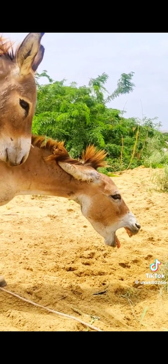 ๐ก๐ธ๐ท๐ท๐ (@natron_02) on Twitter photo Her : Iโm too old for you, I could be your mom
2hrs later : Her : Iโm too old for you, I could be your mom
2hrs later :