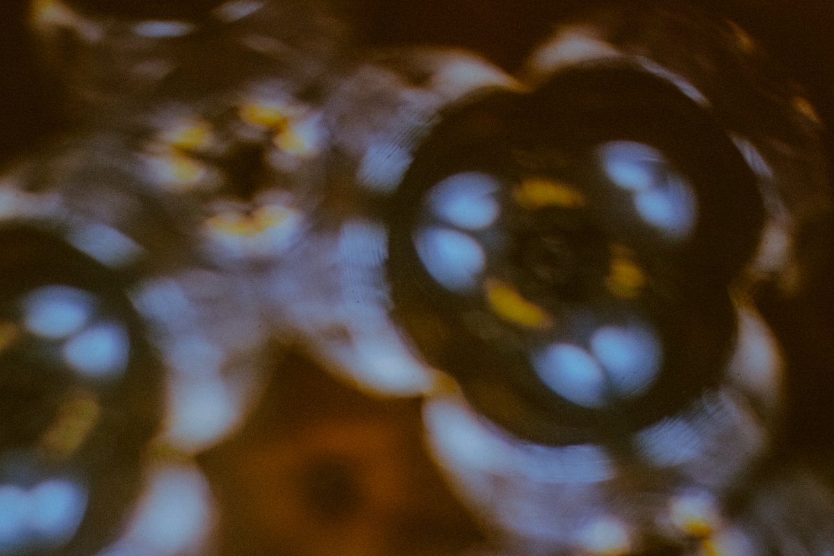 🪄📷