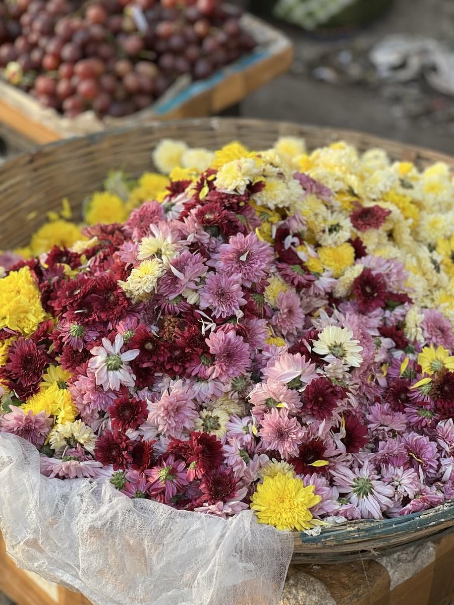 Happy Diwali 🙇🏻‍♀️