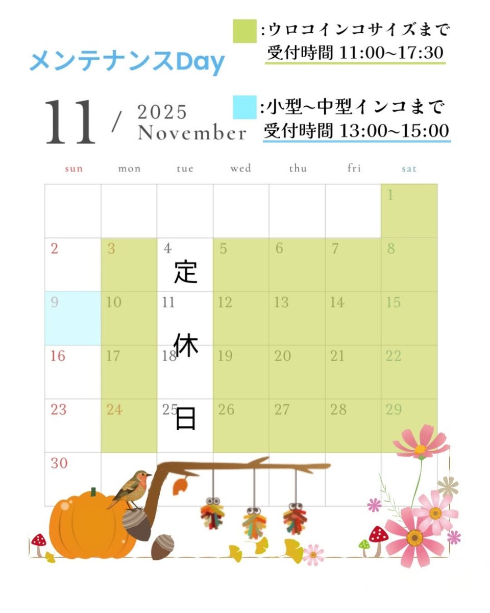 バードショップ 𝔹𝕚𝕣𝕕 𝕃𝕒𝕟𝕕𓅪 on X