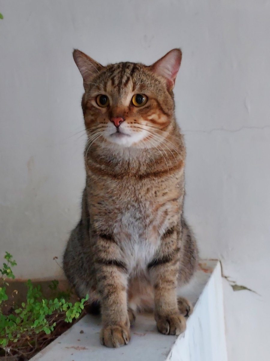 How it started/How it's going