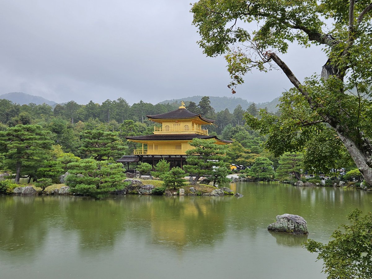 Brett McKay tweet media