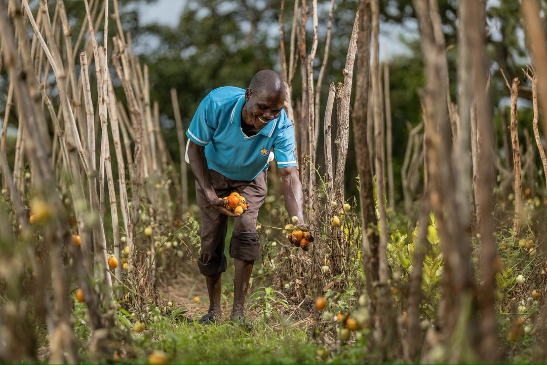 Twalphotograph1's tweet image. Capturing progress under the #UgIFT Project  led by @mofpedU & funded by the @WorldBank.
we believe powerful images tell the story of development, resilience, and progress. These moments remind us that public investment, when done right, changes lives.
#Visualstories #progress