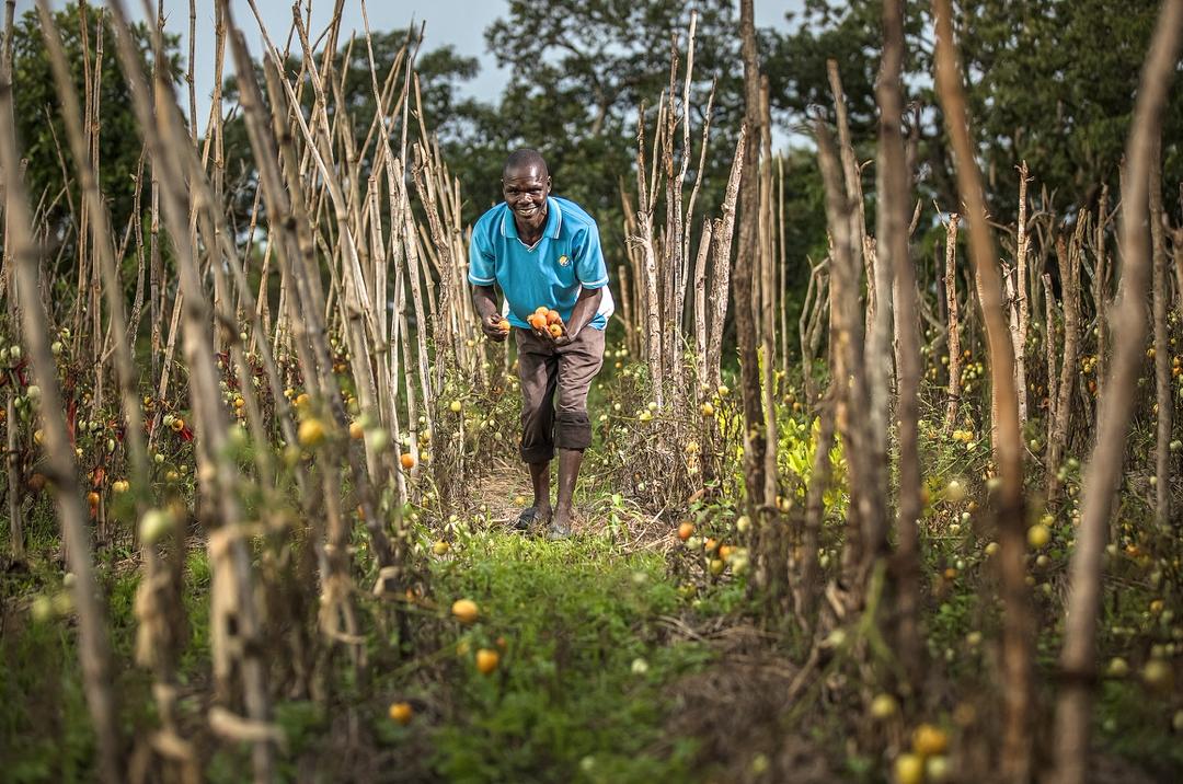 Twalphotograph1's tweet image. Capturing progress under the #UgIFT Project  led by @mofpedU & funded by the @WorldBank.
we believe powerful images tell the story of development, resilience, and progress. These moments remind us that public investment, when done right, changes lives.
#Visualstories #progress