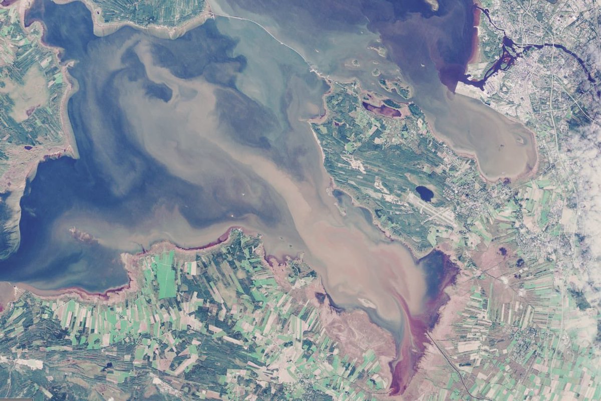 Kaleva 17.10.2025: Meri sakeutui Oulun edustalla maitokahvin väriseksi – tästä on kyse

kaleva.fi/meri-sakeutui-…