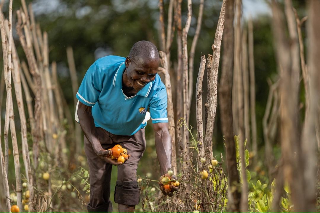 Twalphotograph1's tweet image. Capturing progress under the #UgIFT Project  led by @mofpedU & funded by the @WorldBank.
we believe powerful images tell the story of development, resilience, and progress. These moments remind us that public investment, when done right, changes lives.
#Visualstories #progress