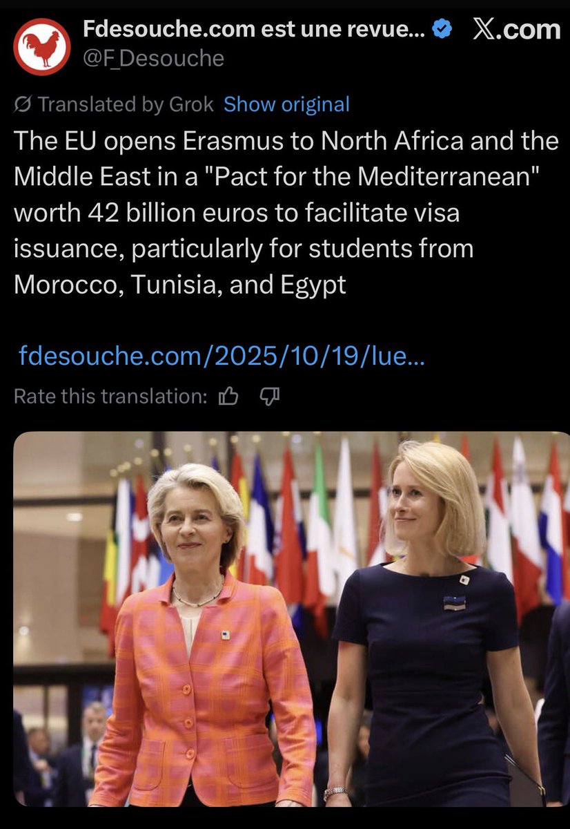 jonatanpallesen's tweet image. Unelected EU bureaucrats establish a pact to spend large amounts of taxpayer money in order to facilitate increased Muslim mass immigration.