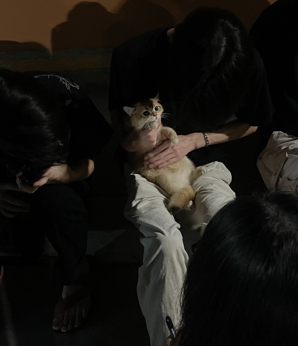 _pppp79's tweet image. ขับกันน่ากลัวทุกตัว