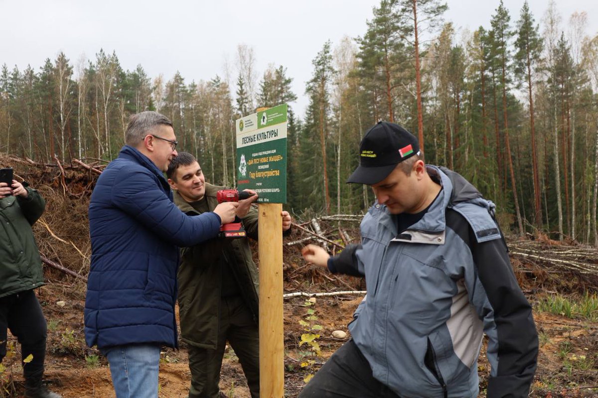 PressMinyust's tweet photo. 🗓18 октября представители Министерства юстиции приняли участие в добровольной общественной акции «Дай лесу новае жыццё!».

Во главе с Евгением Коваленко работники центрального аппарата высадили более 10 тысяч сеенцев сосны в лесном массиве Логойского района. https://t.co/g6ELr8n24m