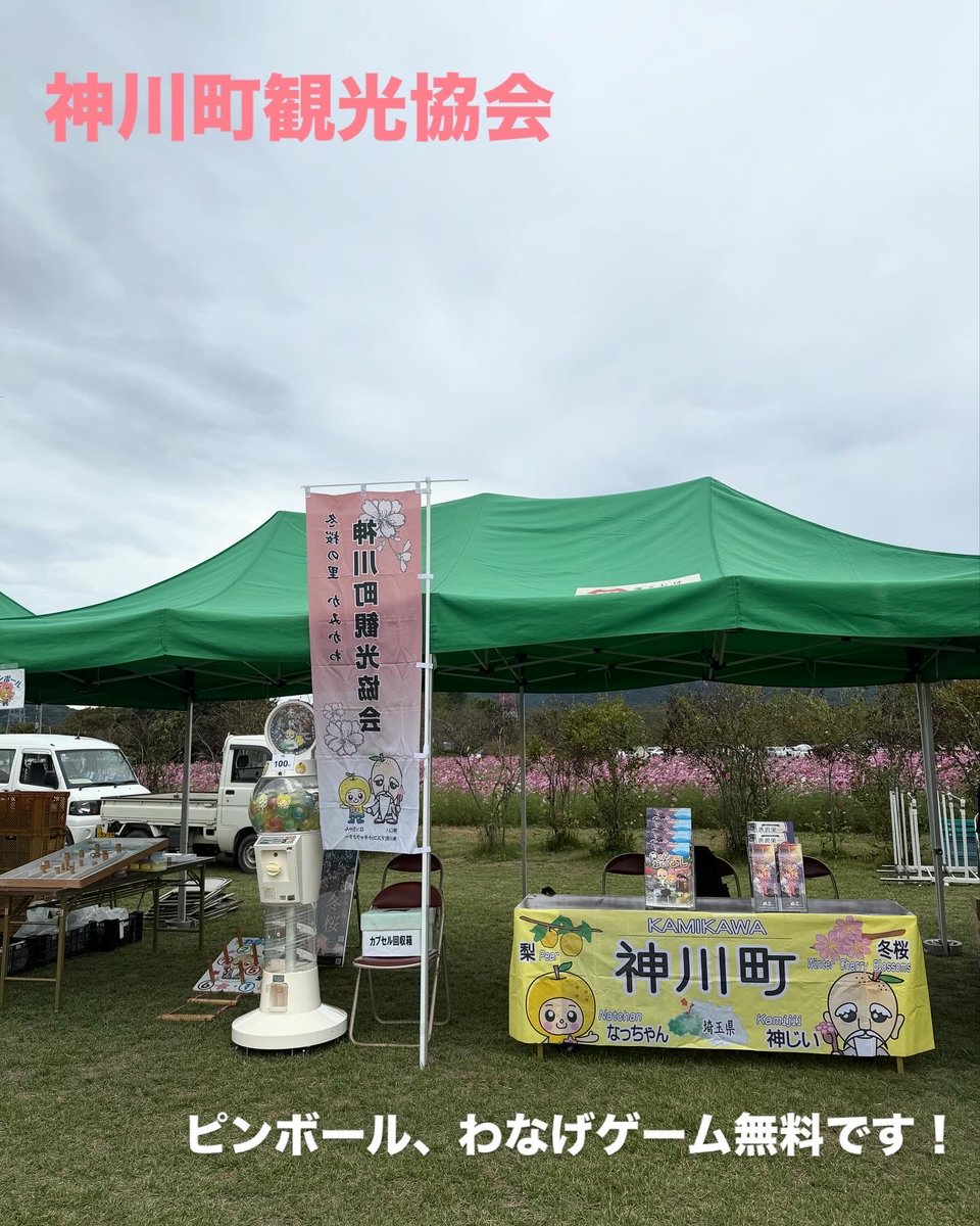 kamikawa_kankou's tweet image. 昨日は「2025神川町コスモスまつり」が開催されました!
あいにくの天気でしたが、沢山の方にご来場いただきました!
観光協会では、観光PRの他、ピンボール、わなげゲーム等で参加させていただきました!
たくまんの司会が素晴らしかったです👏
#神川町 #神川 #埼玉県 #コスモスまつり