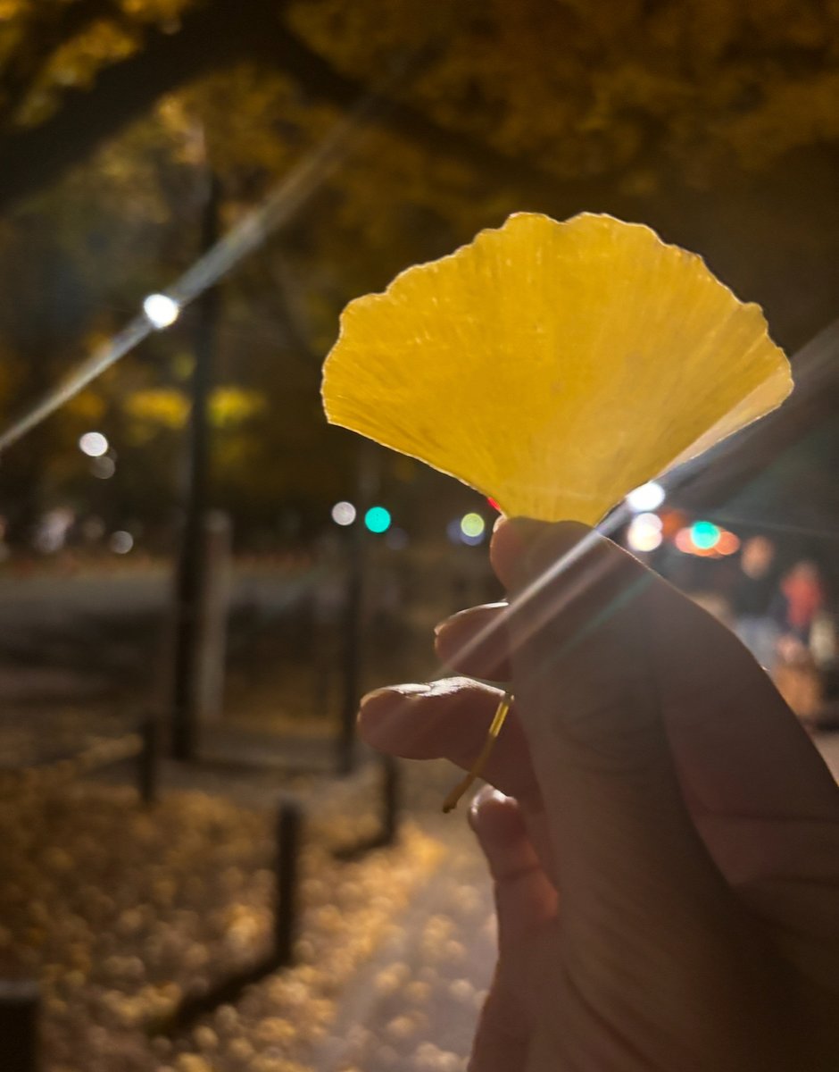 【ブログ更新 五百城茉央】 今、飛び箱の踏み台を踏み込みたい　　　五百城茉央 dlvr.it/TNmdrw