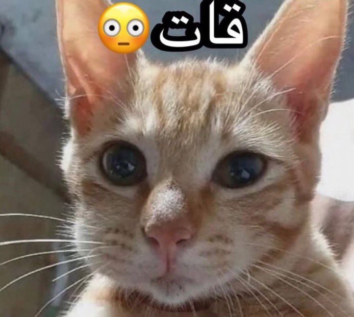 😳