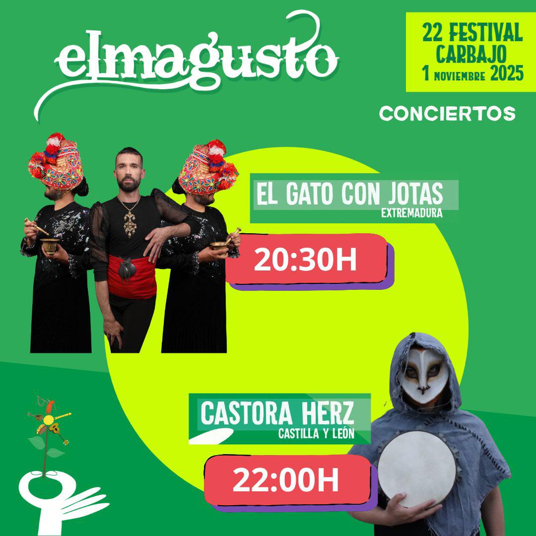 Festival El Magusto tweet media