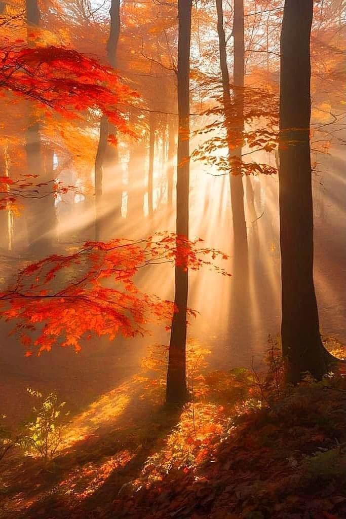 #happyday #GoodMorning #MondayVibes #NatureBeauty
