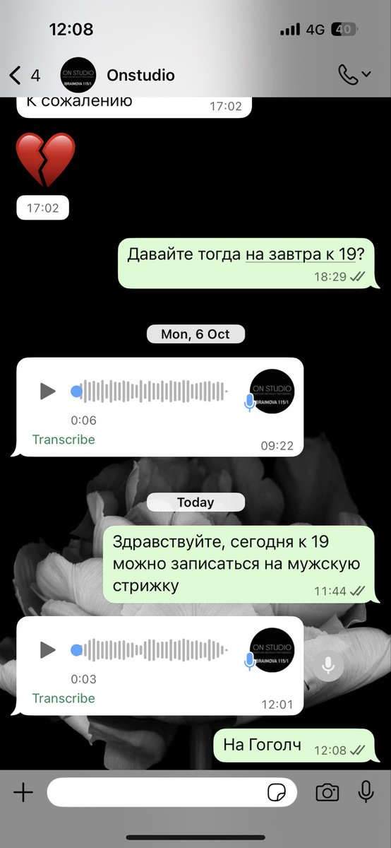 бесит пиздец, каждое сообщение это голосовое