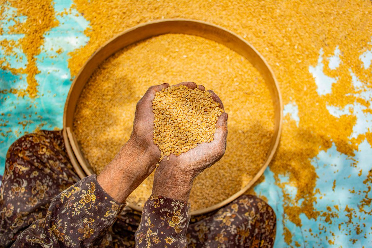 AmanRasouli_'s tweet image. Hi โค๏ธโ๐ฅ
The Hand's Gold
๐ก28 tez
objkt.com/tokens/KT1Qwipโฆ