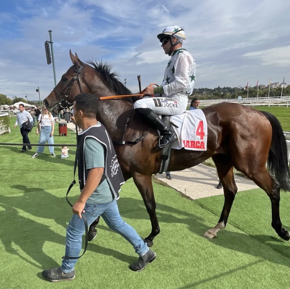AllIron_2023's tweet photo. Espectacular día para los nuestros con 2 victorias para #NoozhohCanarias de Orión y Asahi y un buen 4º de Tetuán en el Memorial y victoria de Piaka y un gran 2º de Madrid (#LightningMoon) en el Rubán (A) https://t.co/QC0hmTrsK9