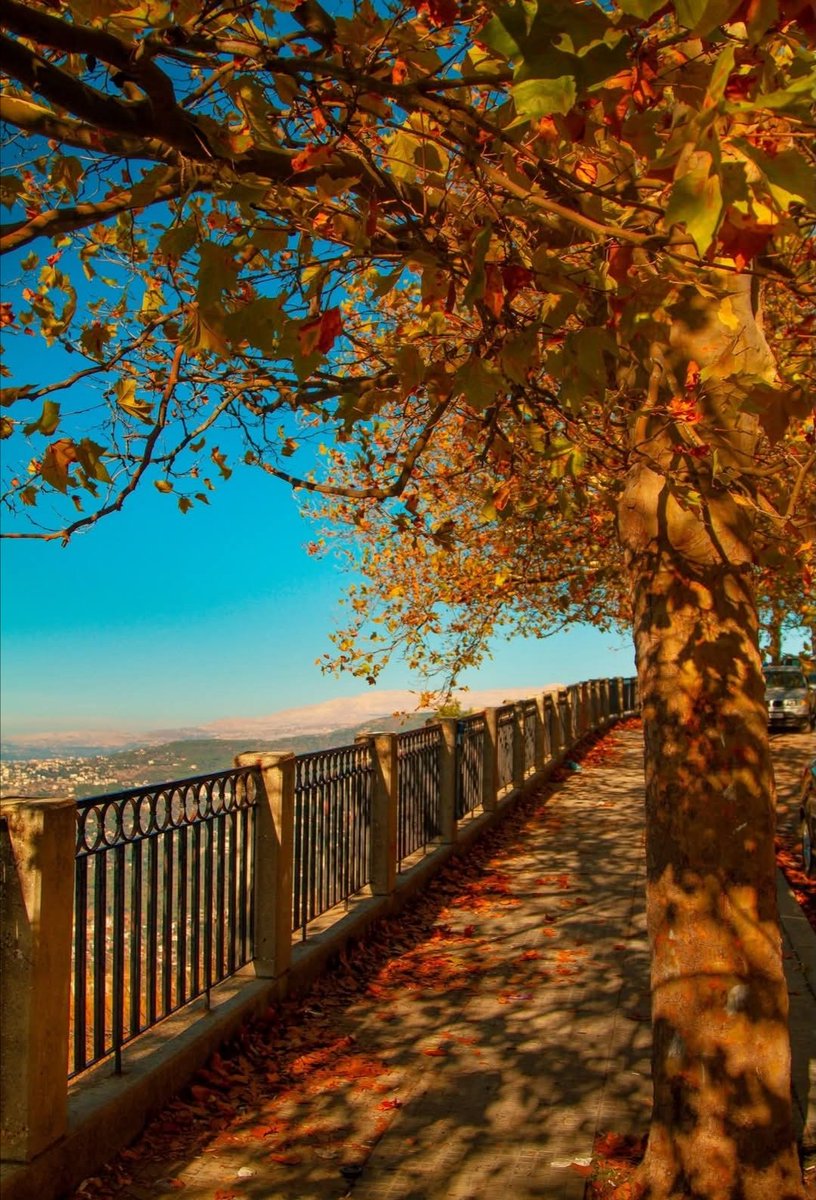 صباح الخير 🇱🇧♥️