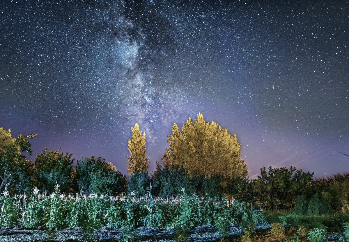 Bitlis'te yıldızlar görüntülendi.