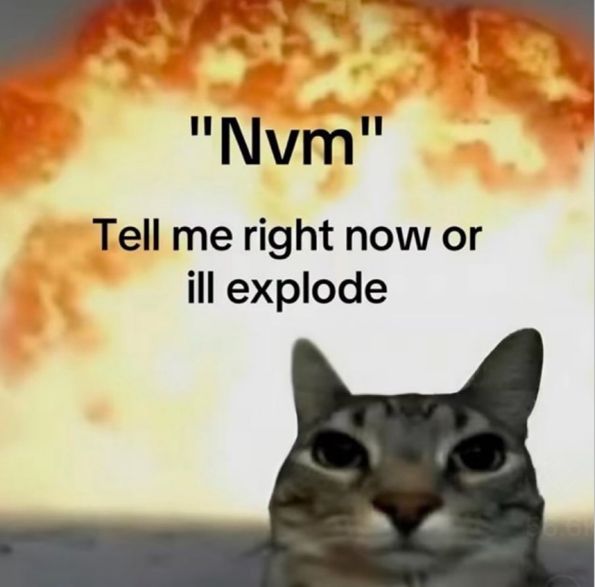 Respectful Memes (@respectfulmemes) on Twitter photo 