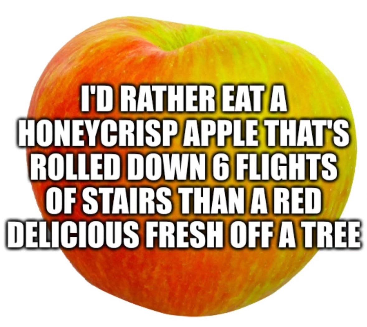 RespectfulMemes's tweet photo. https://t.co/3j4AuK9JFR