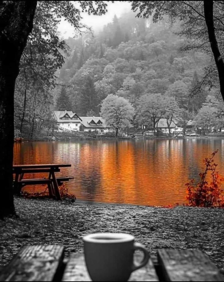 Buongiorno buon lunedì ☕️🥰🧡🍁🍂