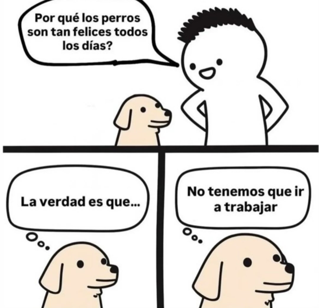 ymuchosmemes's tweet photo. https://t.co/XVNVCIfqQY