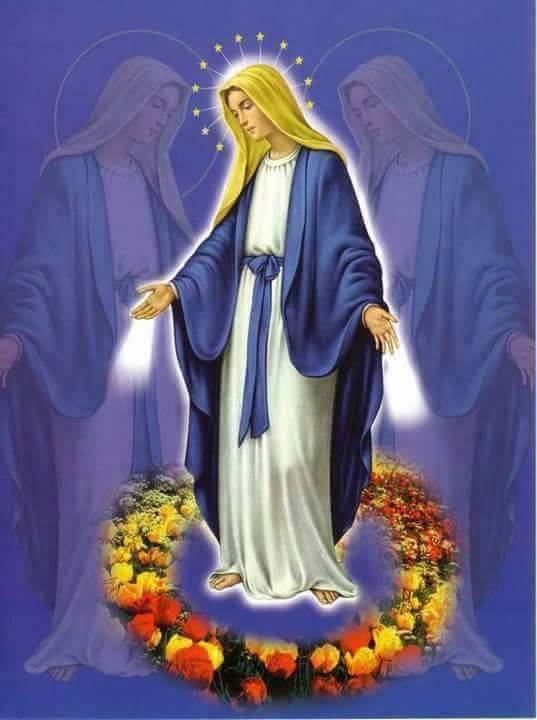 Salamu Maria umejaa neema. Bwana yu nawe. Umebarikiwa kuliko wanawake wote. Naye Yesu mzao wa tumbo lako amebarikiwa.

Maria Mtakatifu, Mama wa Mungu. Utuombee sisi wakosefu. Sasa, na saa ya kufa kwetu, Amina🙏