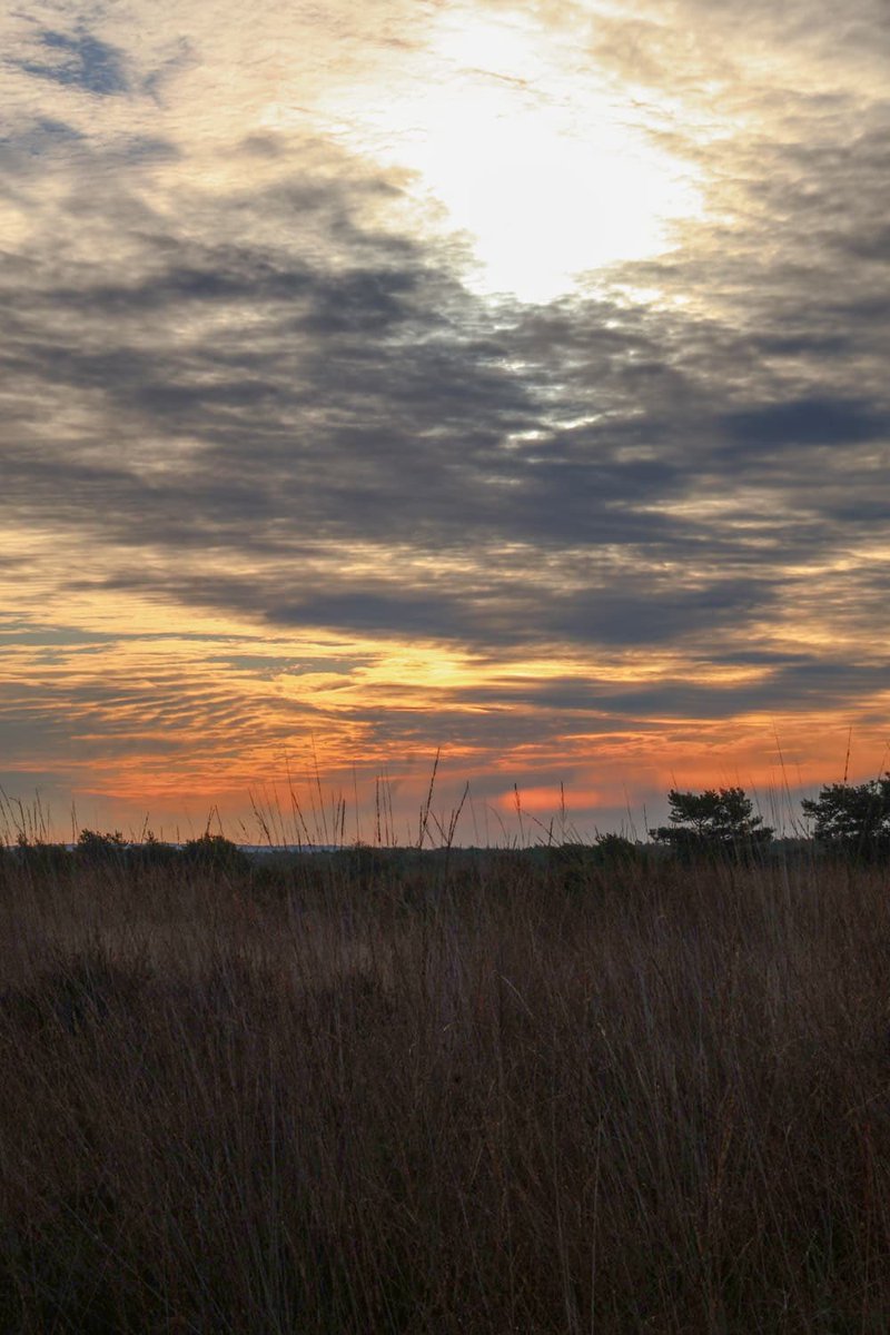 Goedemorgen <a href="/GemeenteErmelo/">Gemeente Ermelo</a>