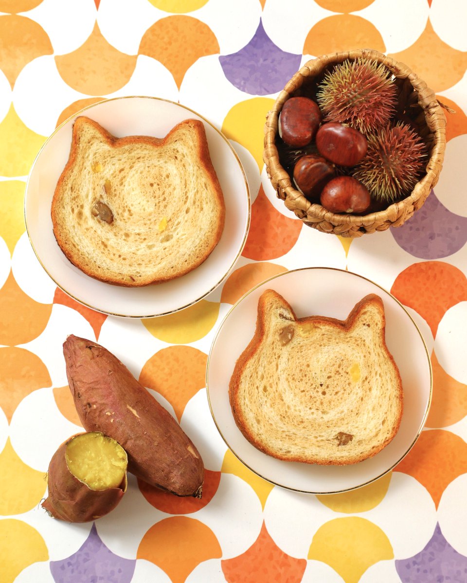 本日より販売開始！🎉
.·*⿻┈┈┈┈
ねこねこ食パン 栗とサツマイモ
　　　　　　　　　　┈┈┈⿻*.·

紅あずまを練りこんだやさしい甘さの生地と、
マロン風味の生地でぐるぐる模様に🍞
甘栗かのこ と なると金時を巻き込み、
秋の味覚をぎゅっと閉じ込めました🌰🍠

🐾nekoshoku.jp/news/%e3%80%90…