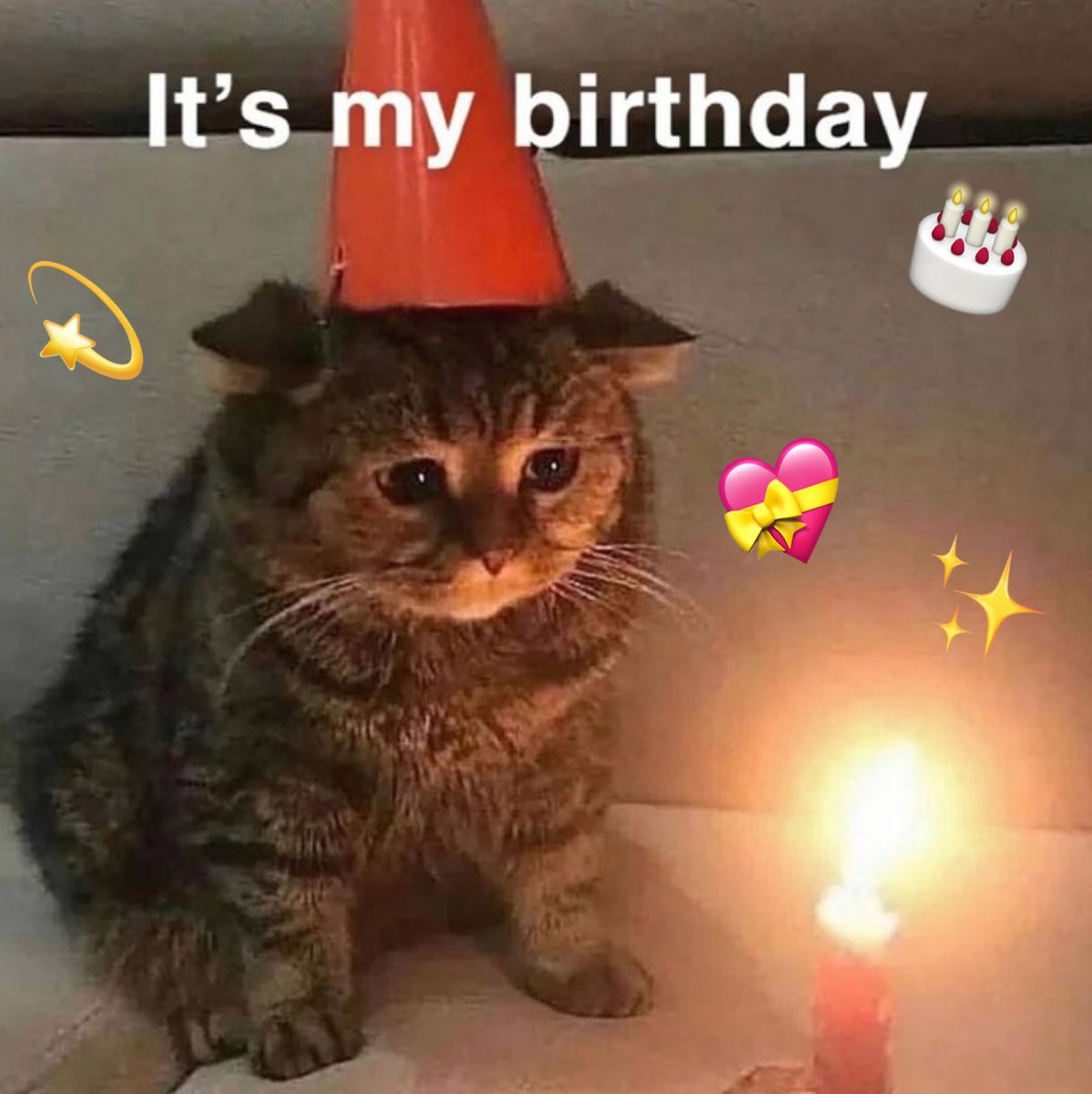 มัมหมา ( ˃̣̣̥᷄⌓˂̣̣̥᷅ ) 🚂 tweet media