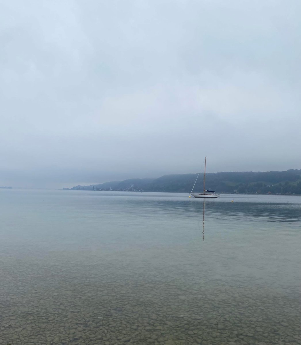 Im Nebel

Seltsam, im Nebel zu wandern!
Einsam ist jeder Busch und Stein,
Kein Baum sieht den andern,
Jeder ist allein.

Voll von Freunden war mir die Welt,
Als noch mein Leben licht war;
Nun, da der Nebel fällt,
Ist keiner mehr sichtbar.

Wahrlich, keiner ist weise,
Der nicht