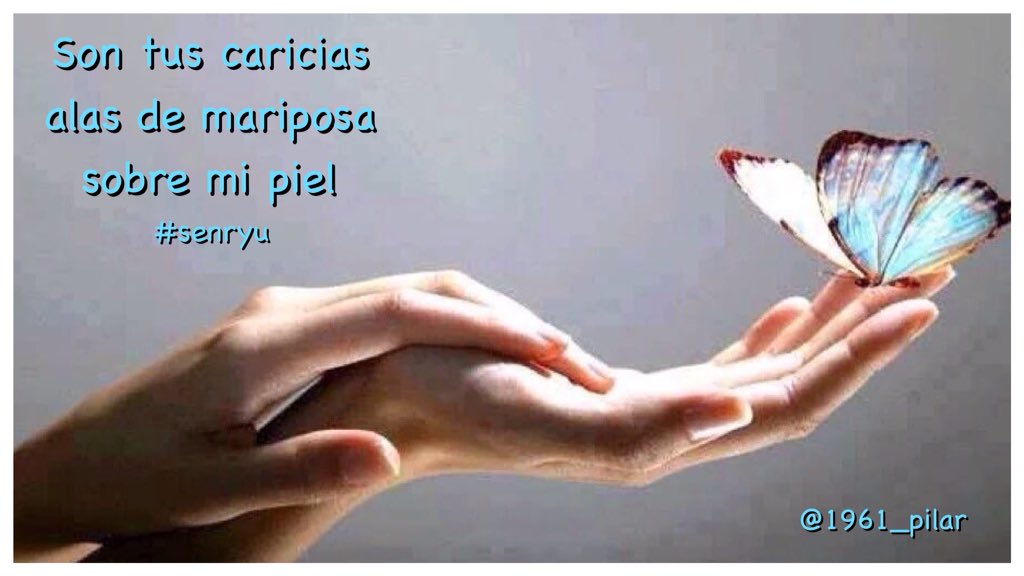 Un nuevo amanecer ¡Buenos días!

Son tus caricias...

~senryu~

#LYF15  #VAFlorDePiel