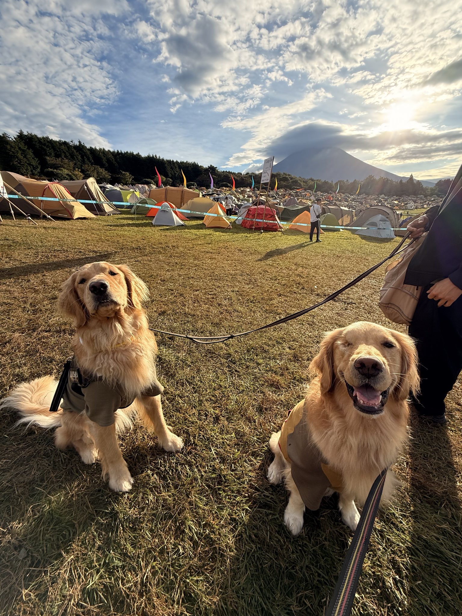 むぎとエール (@mugimeshi05) / X