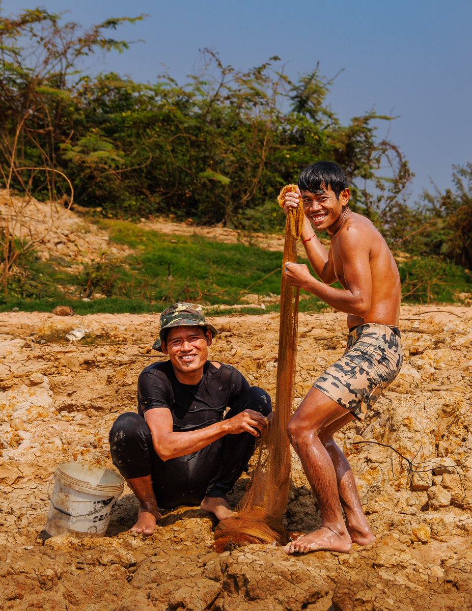 TechnicallyNotAsian tweet media