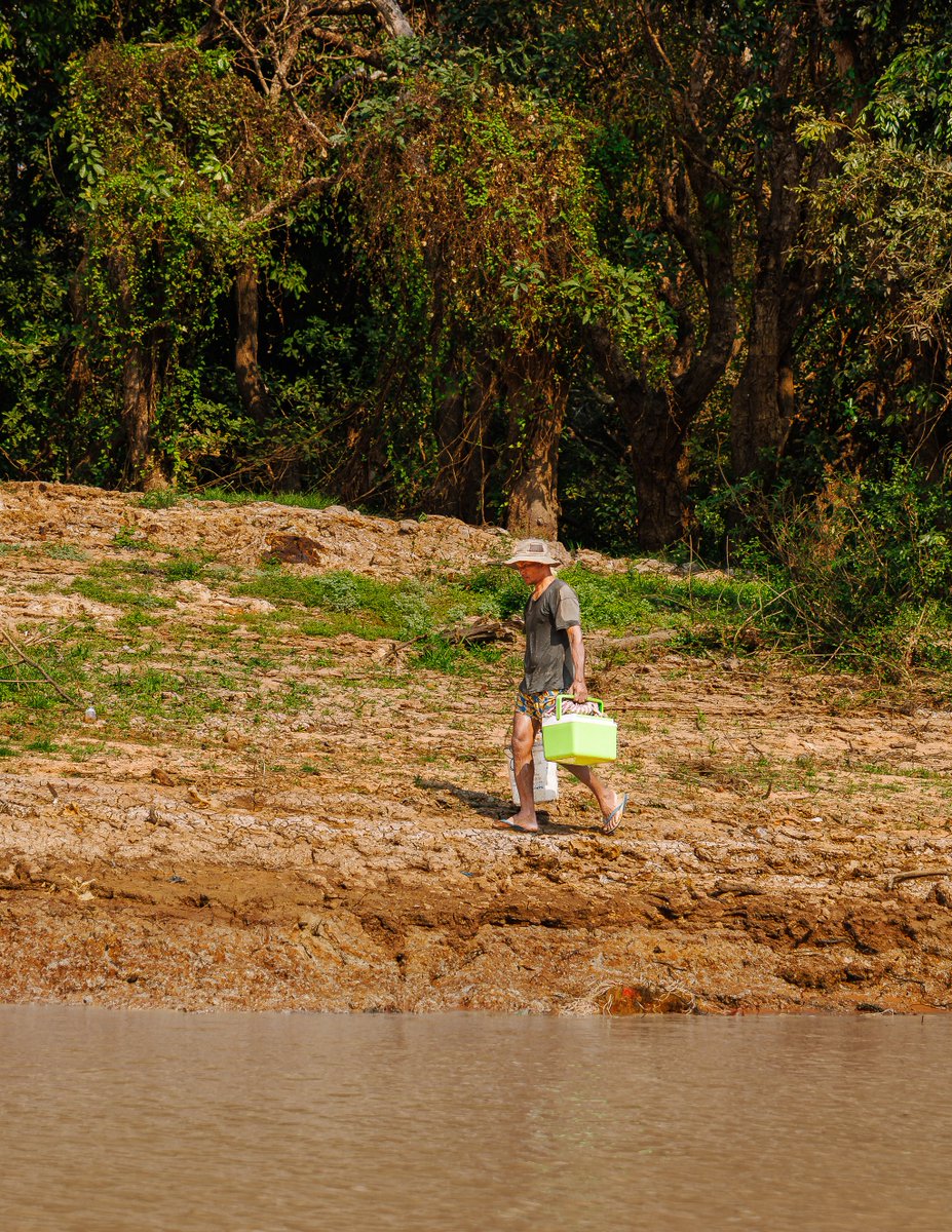 TechnicallyNotAsian tweet media