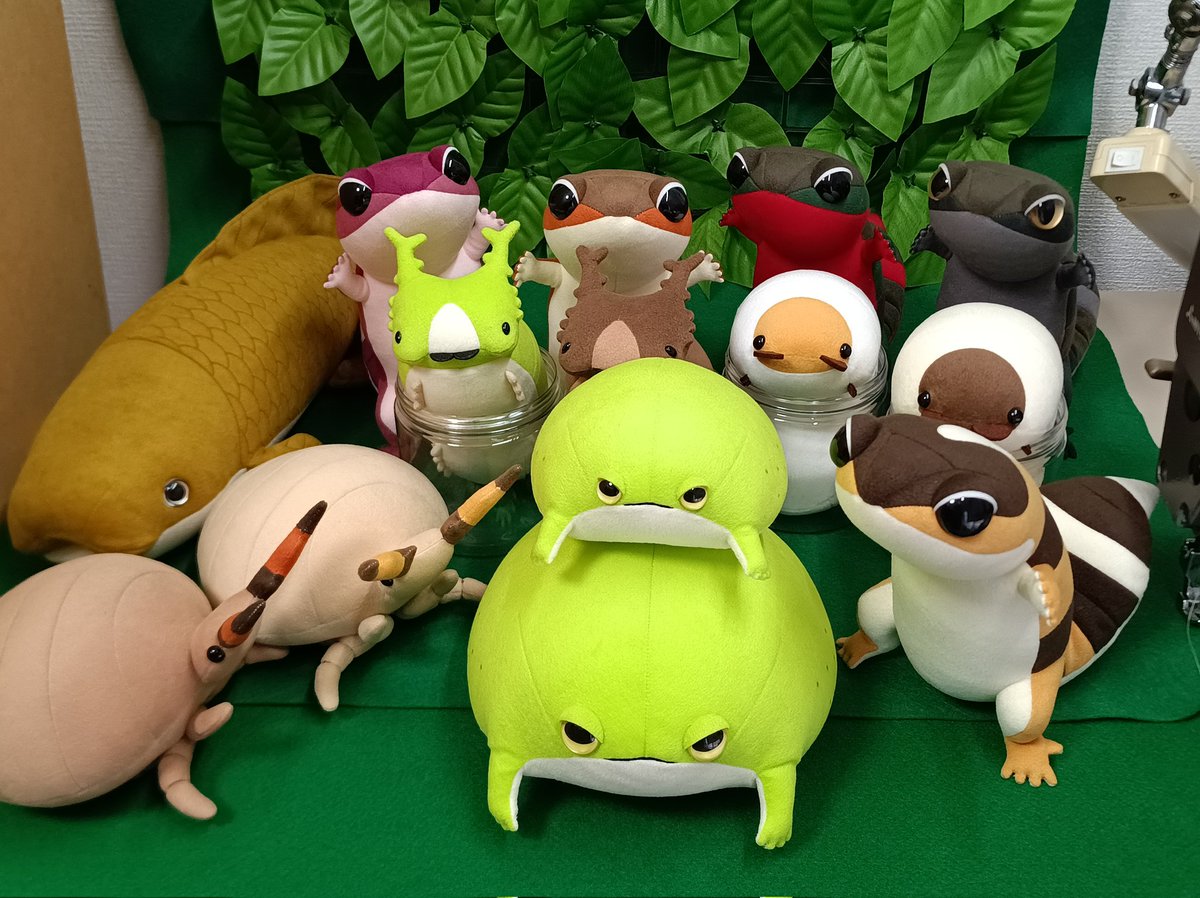 九レプまであと10日！！
花らいおんブースはこちら！！
NEWアリジゴクのデビュー戦です！！！🪲🪲🪲✨✨