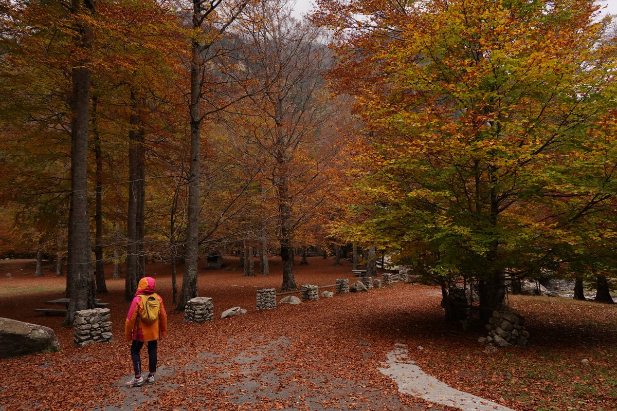 Ya es otoño.en el valle de Arán 🤩🤩