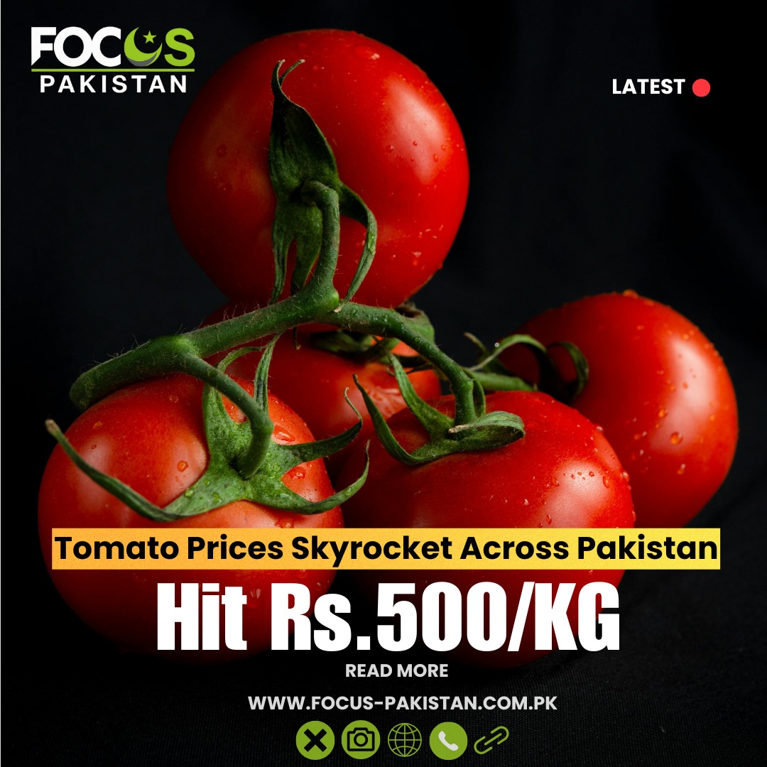 Focusp_official's tweet image. The simple tomato, which has been a common item in Pakistani households for years, has quickly become a luxury commodity as prices shot up alarmingly all over Pakistan 

focus-pakistan.com.pk/tomato-prices-…

#TomatoCrisis #InflationPakistan #Hike #FoodInflation #PakistanEconomy #FocusPakistan