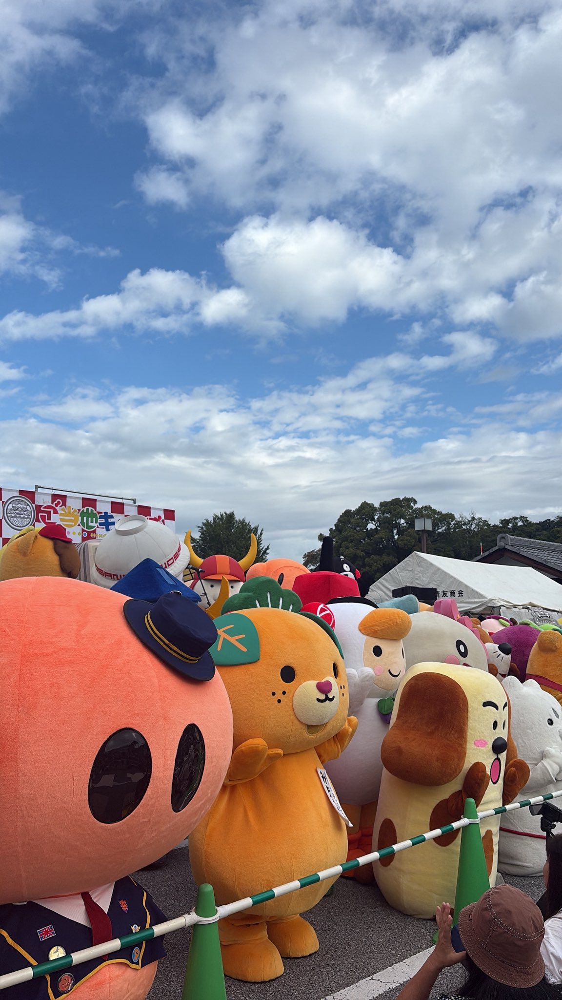 みきゃんさん専用 みきゃん【公式】《愛媛県イメージアップキャラクター