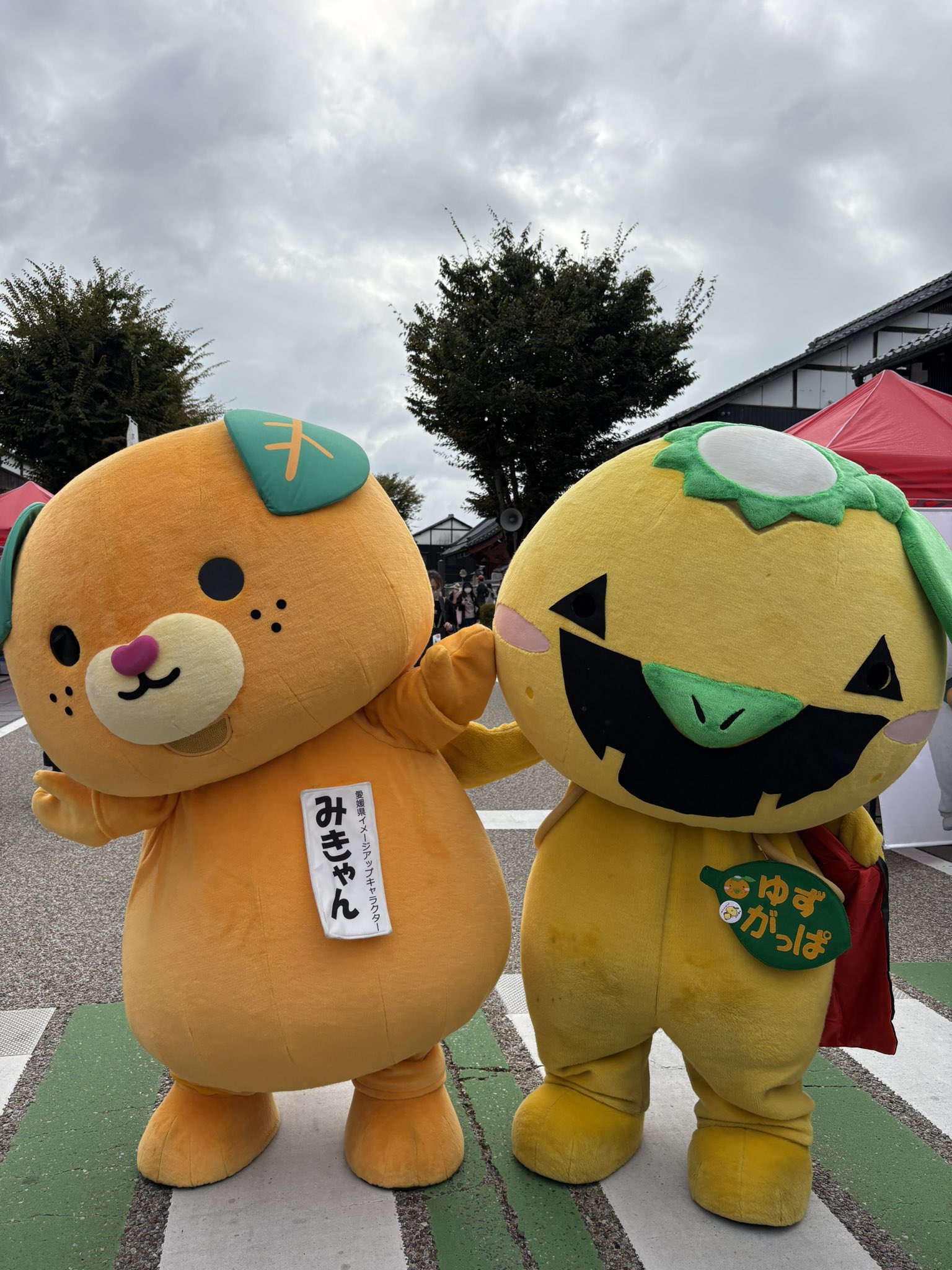 みきゃんさん専用 みきゃん【公式】《愛媛県イメージアップキャラクター