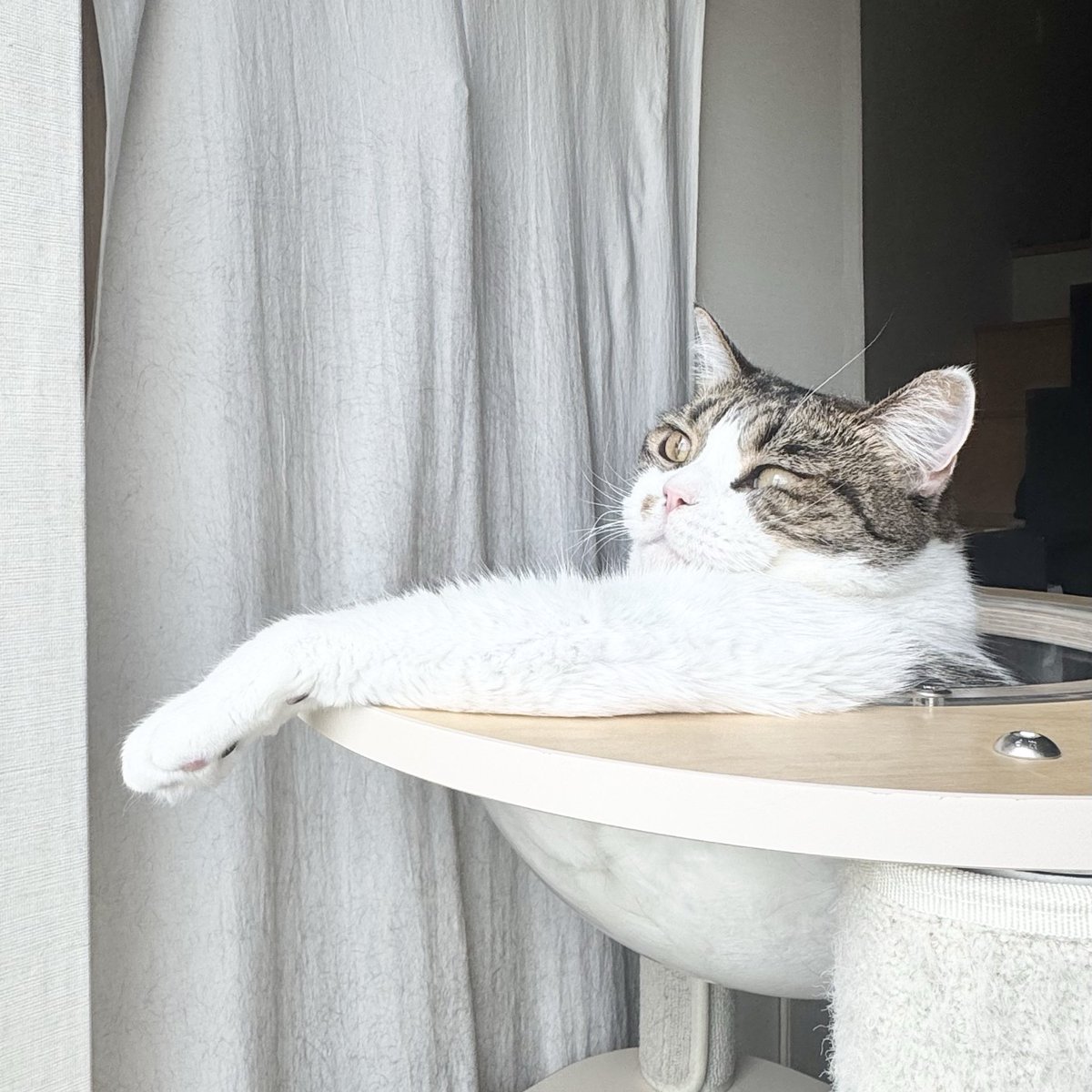 단밤 ✧☾ tweet media